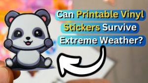 Read more about the article Can Printable Vinyl Stickers Survive Extreme Weather?